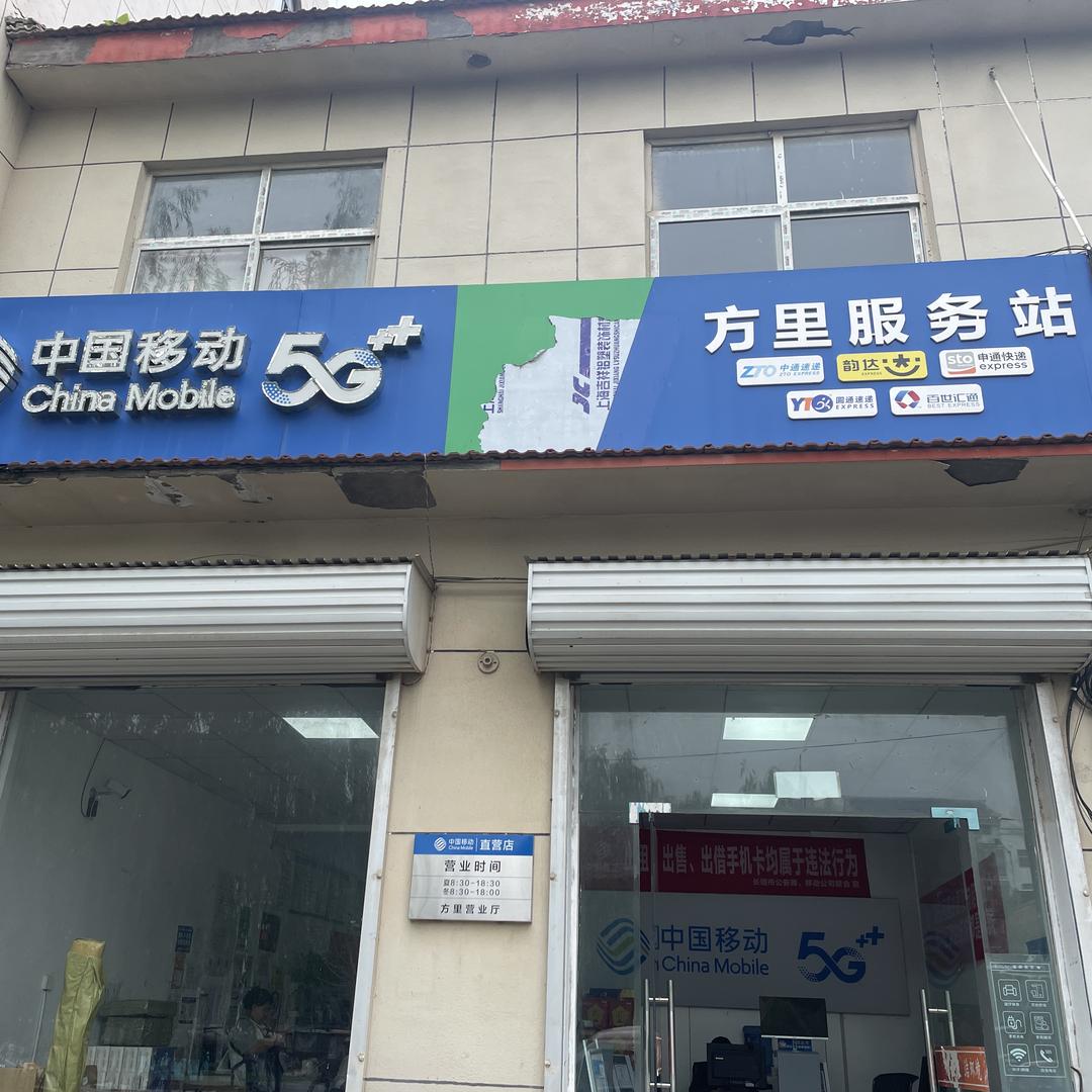 李淘淘