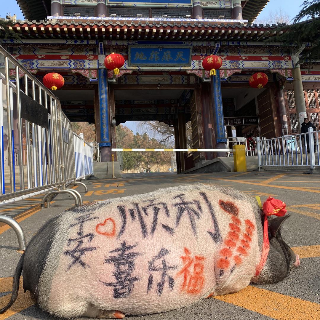 大基山森林公园大漂亮（炜焱）