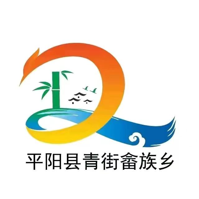 青街日记