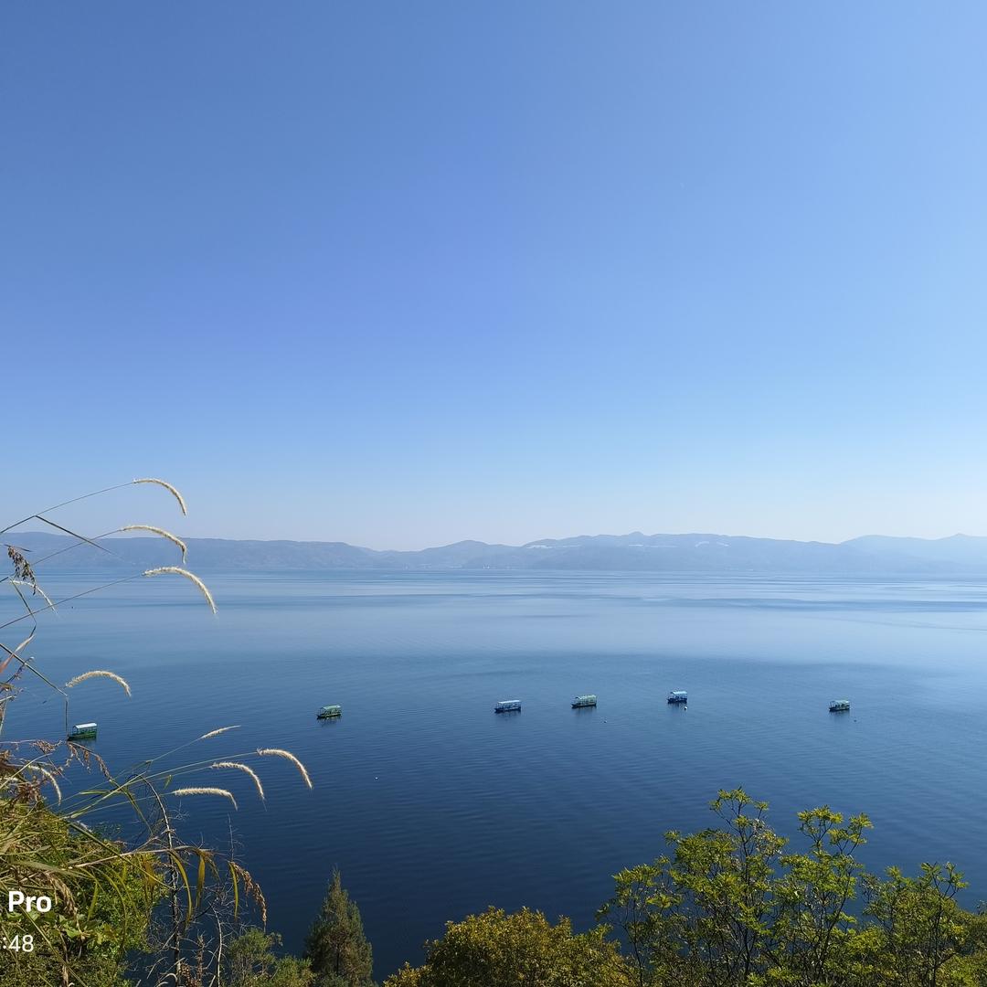 名伽美养  玲名伽