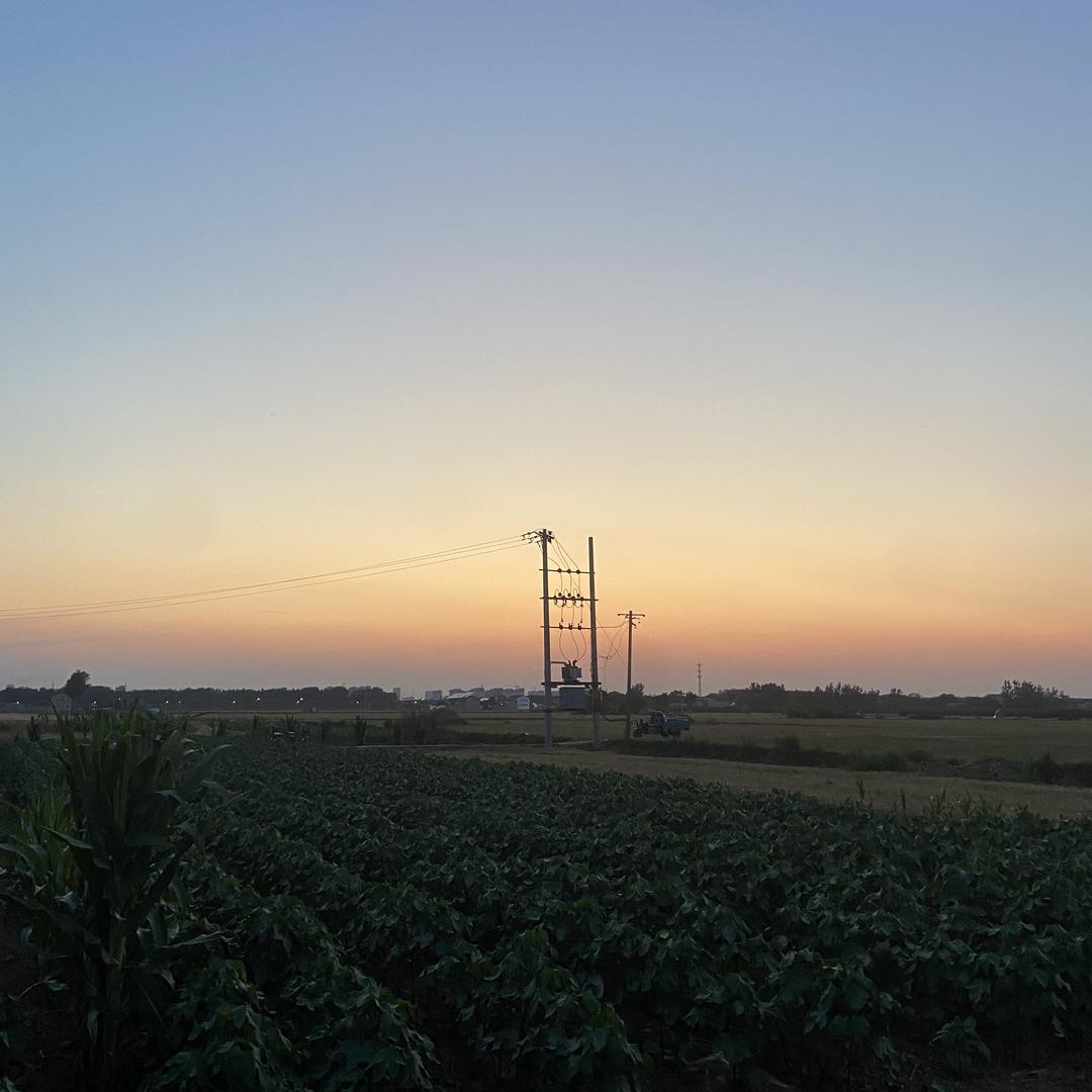 怡荷美韵：牛姐