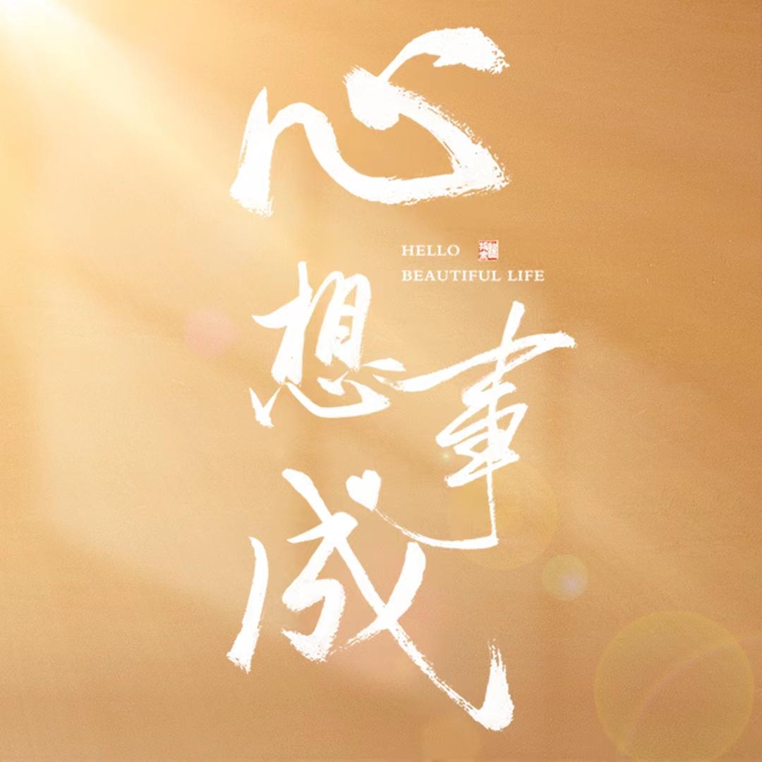 电视剧心想事成