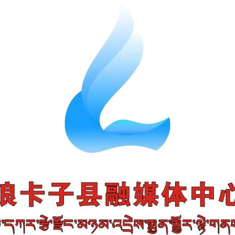 浪卡子融媒