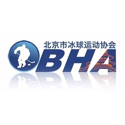 北京市冰球运动协会