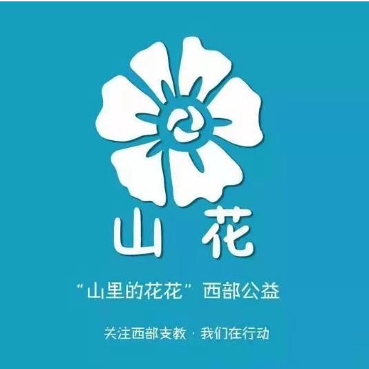 山里的花花西部公益