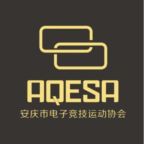 安庆市电子竞技运动协会