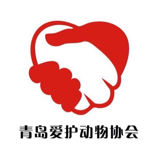 青岛爱护动物协会