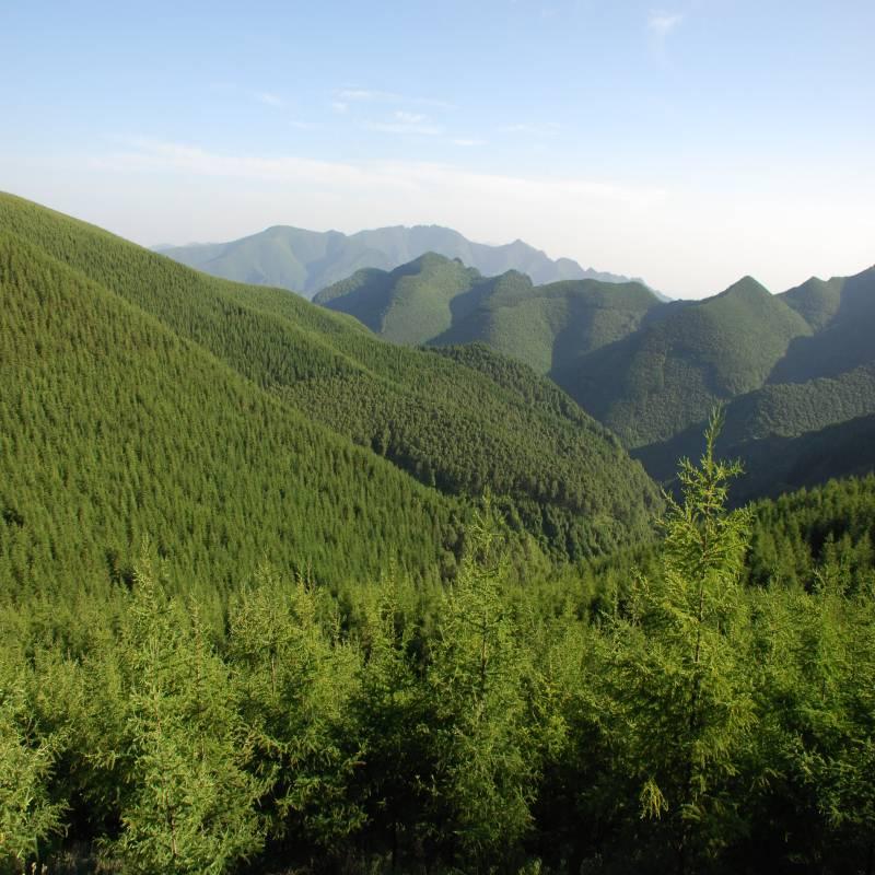 山西省太岳山国有林管理局