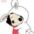 灰兔游