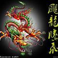 龙🐲