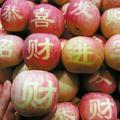高处不胜寒