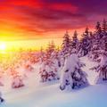 飞雪