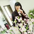 岁月如歌_22910