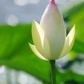 ૮₍°一路生花°₎ა19009勿连赞