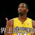 南北极，