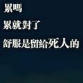 飞鸿_2312410
