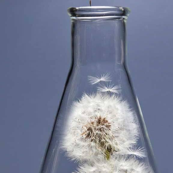 @胜哥@不平凡人生