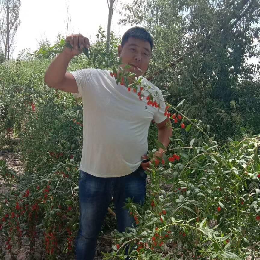 李哥的快乐生活