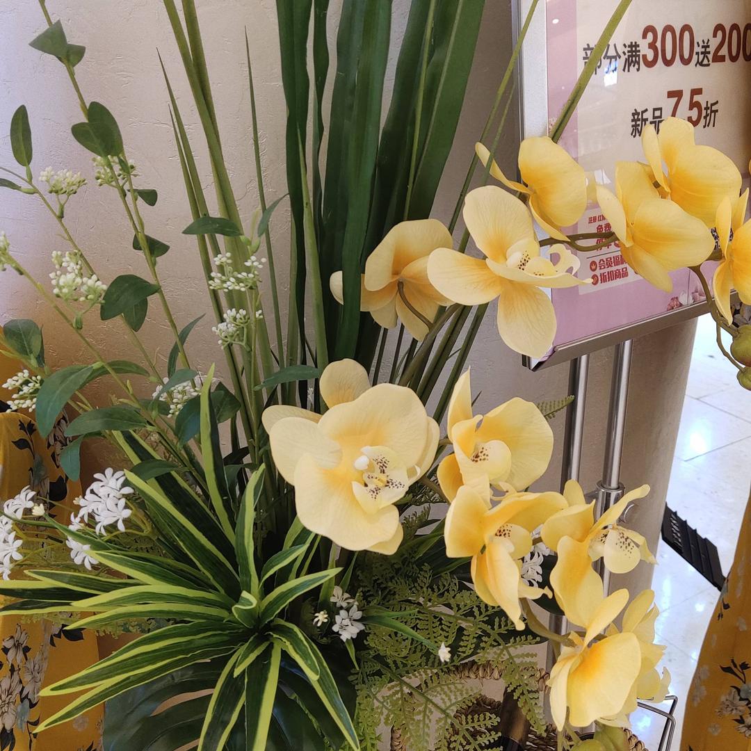 宁静的雪(拒绝私聊）