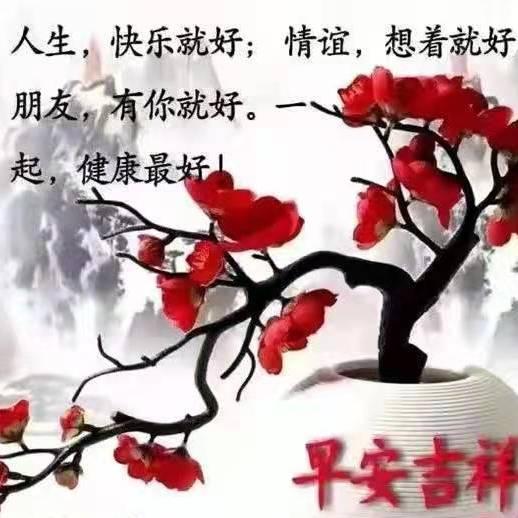 七彩世界