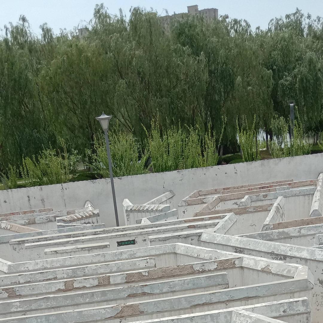 森菲凡奶奶
