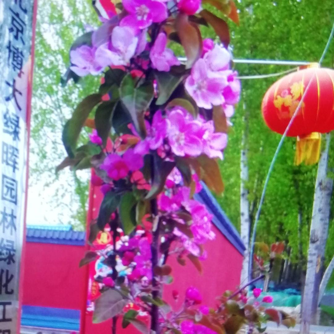好心情#
