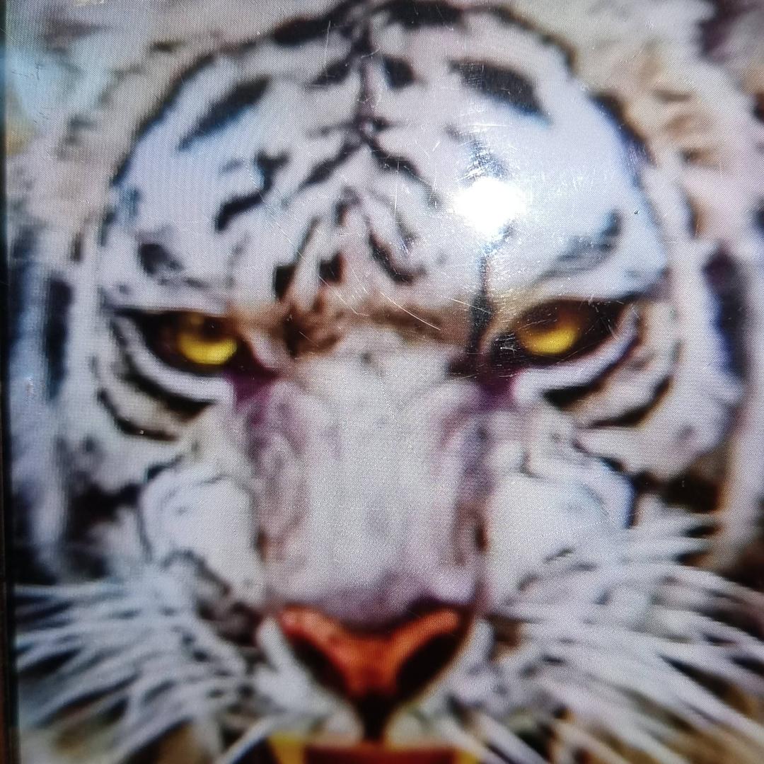 🌴小🌺黑🌺粉☔