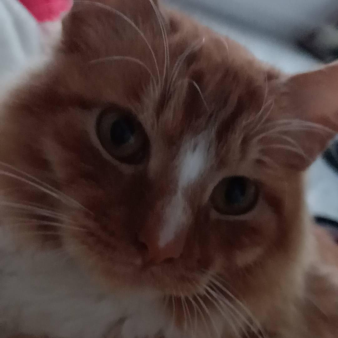 萌萌哒哒哒😘