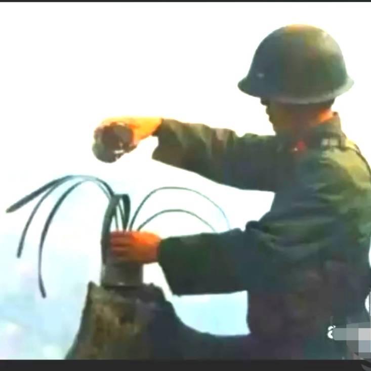 🌈老山兰🐲🌈