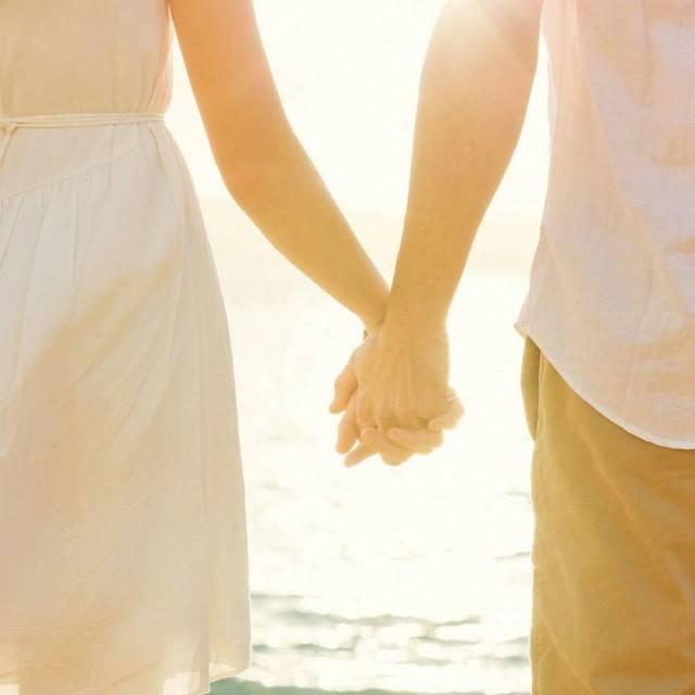 🌙⓪⑤①⑨🌙熊猫