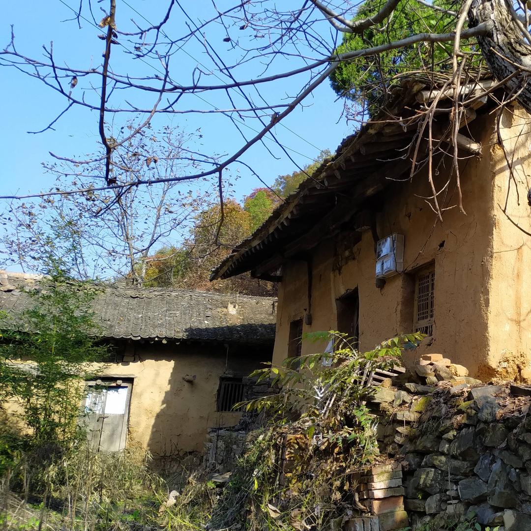 大山里的留守青年