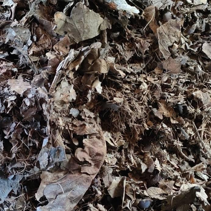 老李头腐叶土企业小店