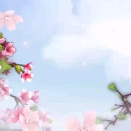 诗韵，5588
