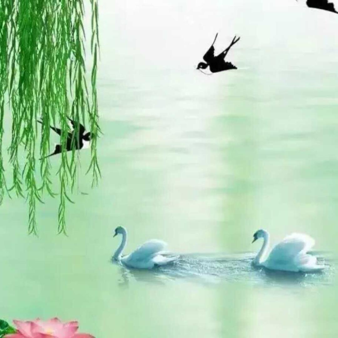 顺应天意者昌