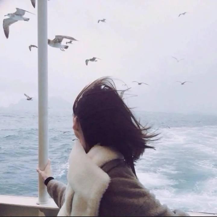 冰心ღ