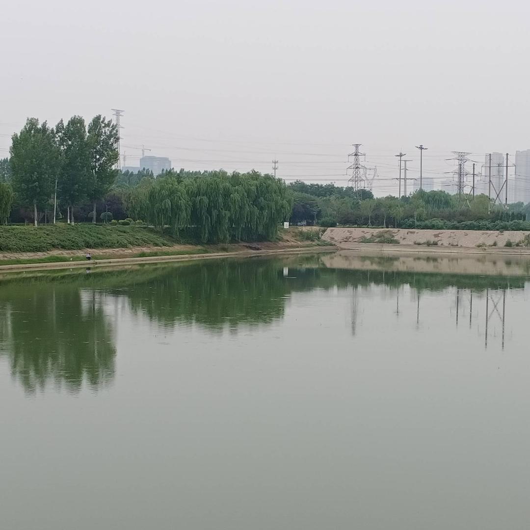 大司马