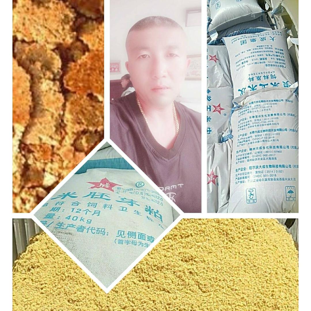 玉米发酵蛋白
