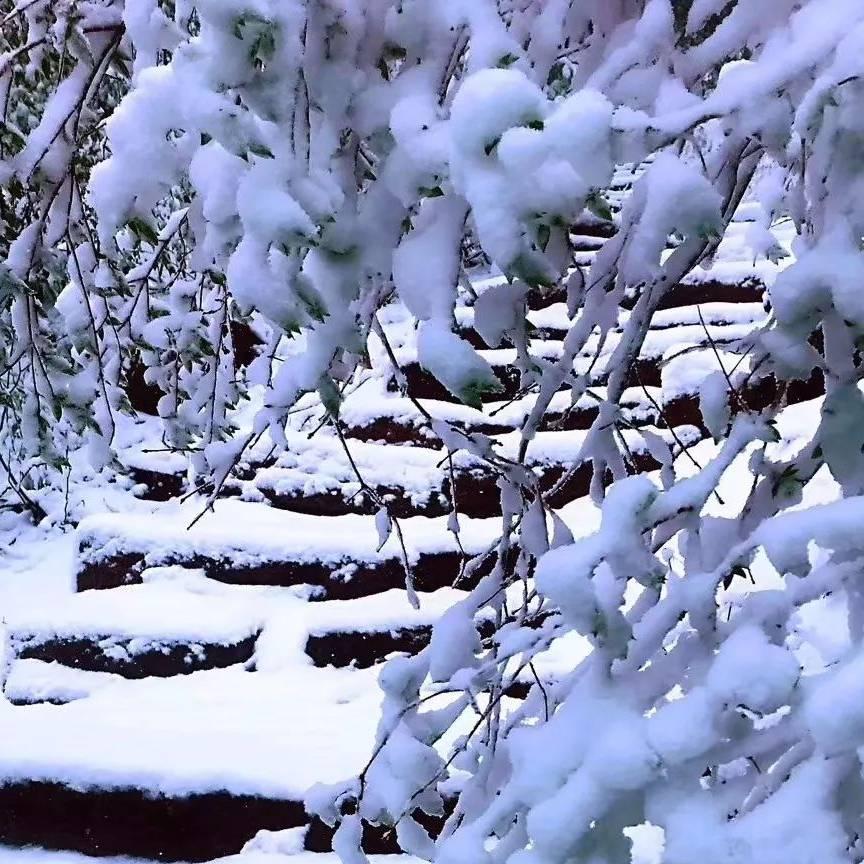 飞雪011