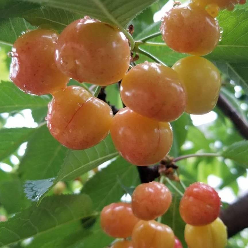 ❣️梦开始的地方❣️