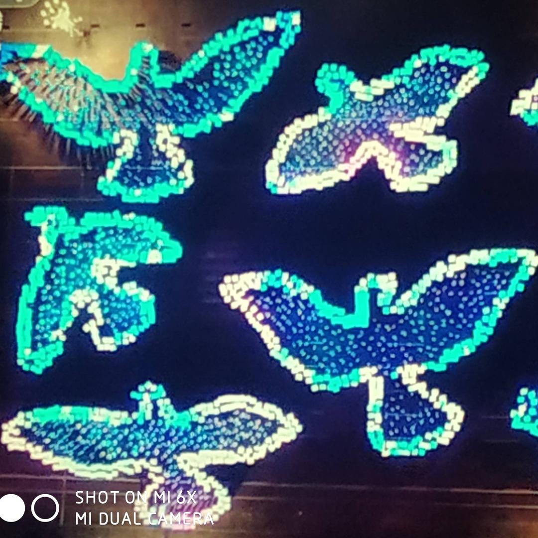 炫烨花:65年蛇🐍