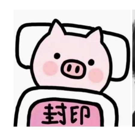 爱吃零食的琦姐💨