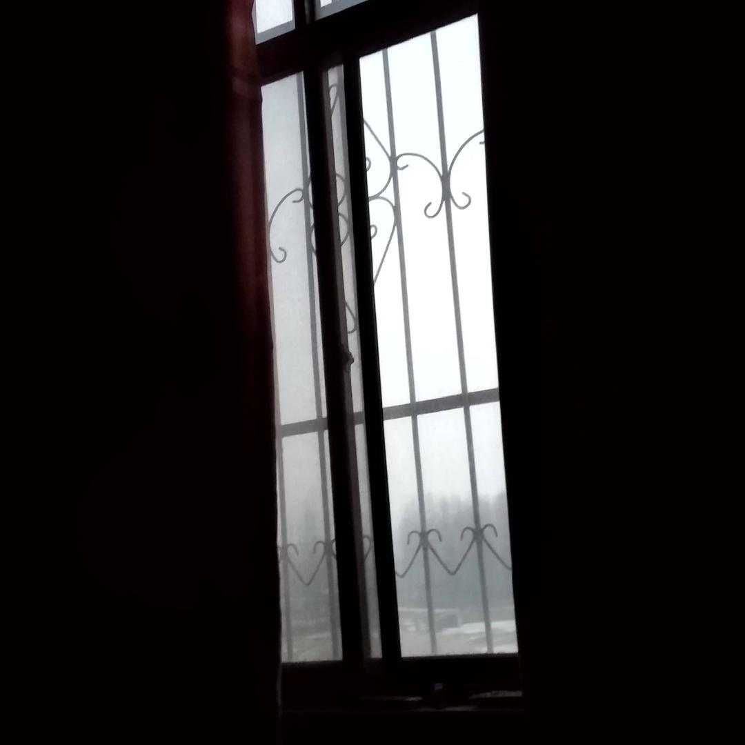 你的将来我买单