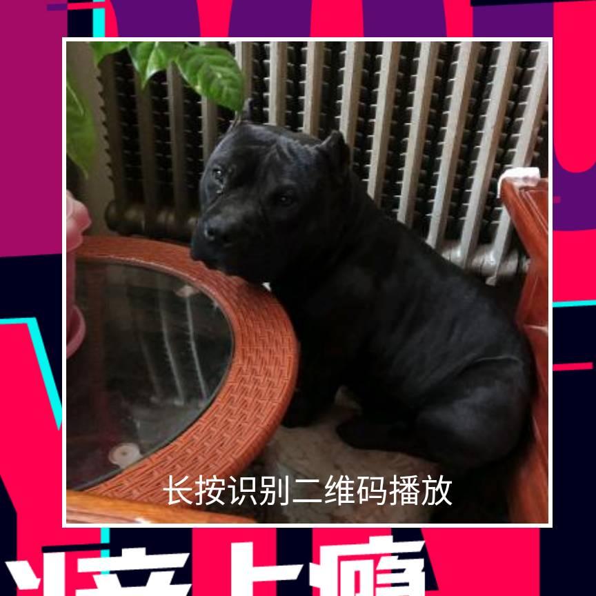 平长心