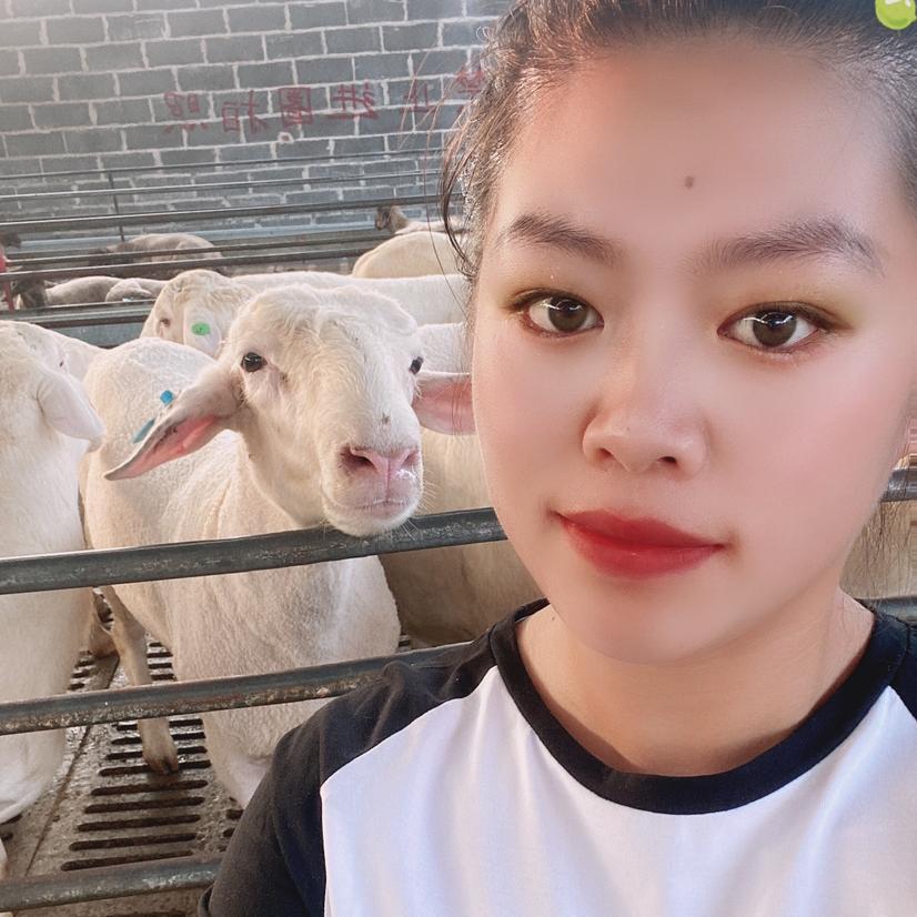 养殖小妹
