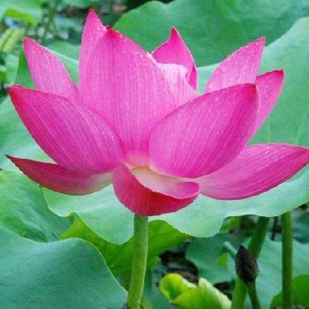 开心美一天11