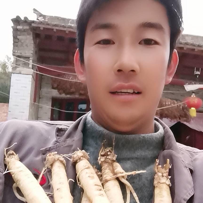 岷县三宝滋补养生