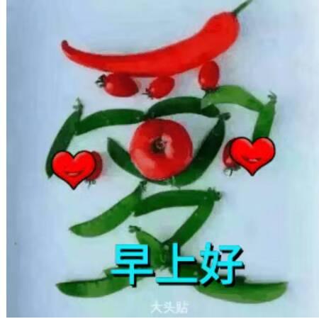 老婆挣钱老公花