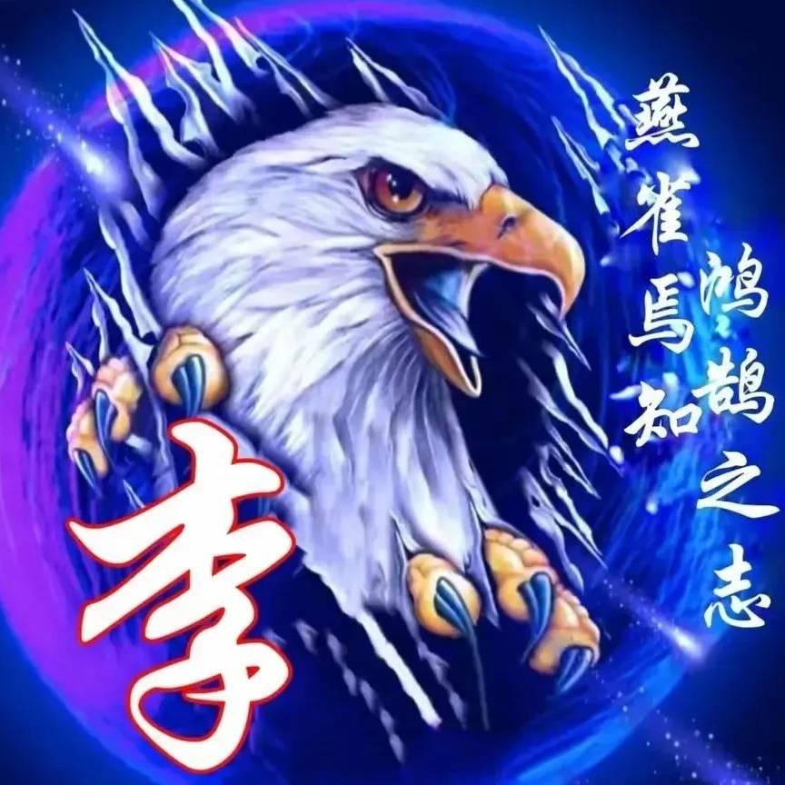 飞鹰影视