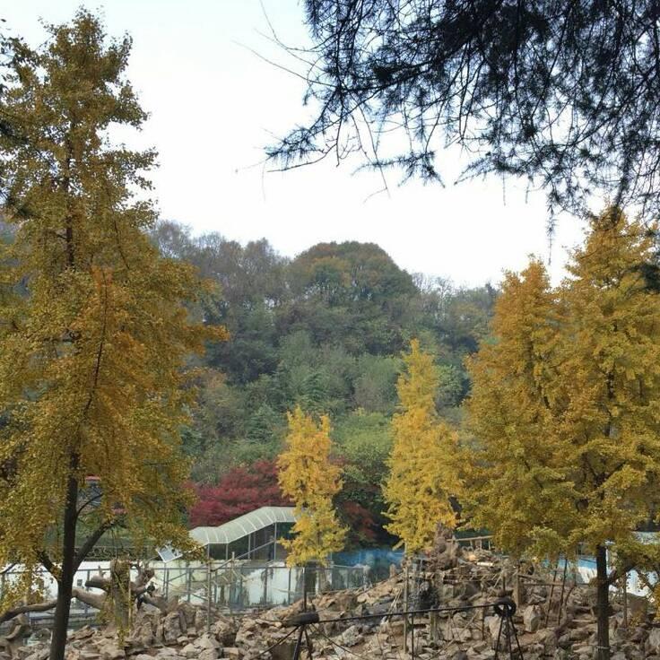 智勇双泉1021