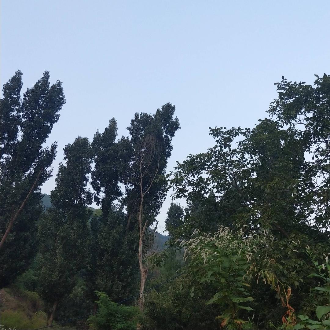 烦心琐事的生活